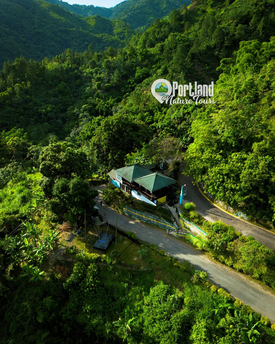 Blue Mountain Sightseeing