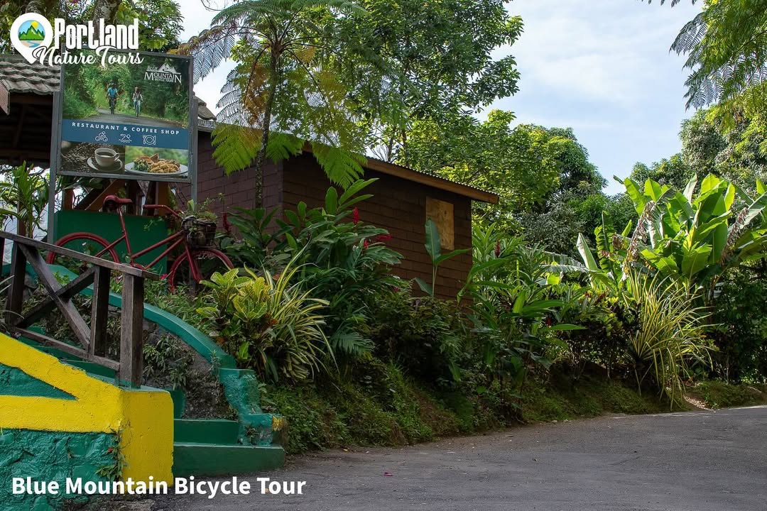 Blue Mountain Bicycle Tour